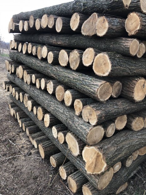 *A kép illusztráció*